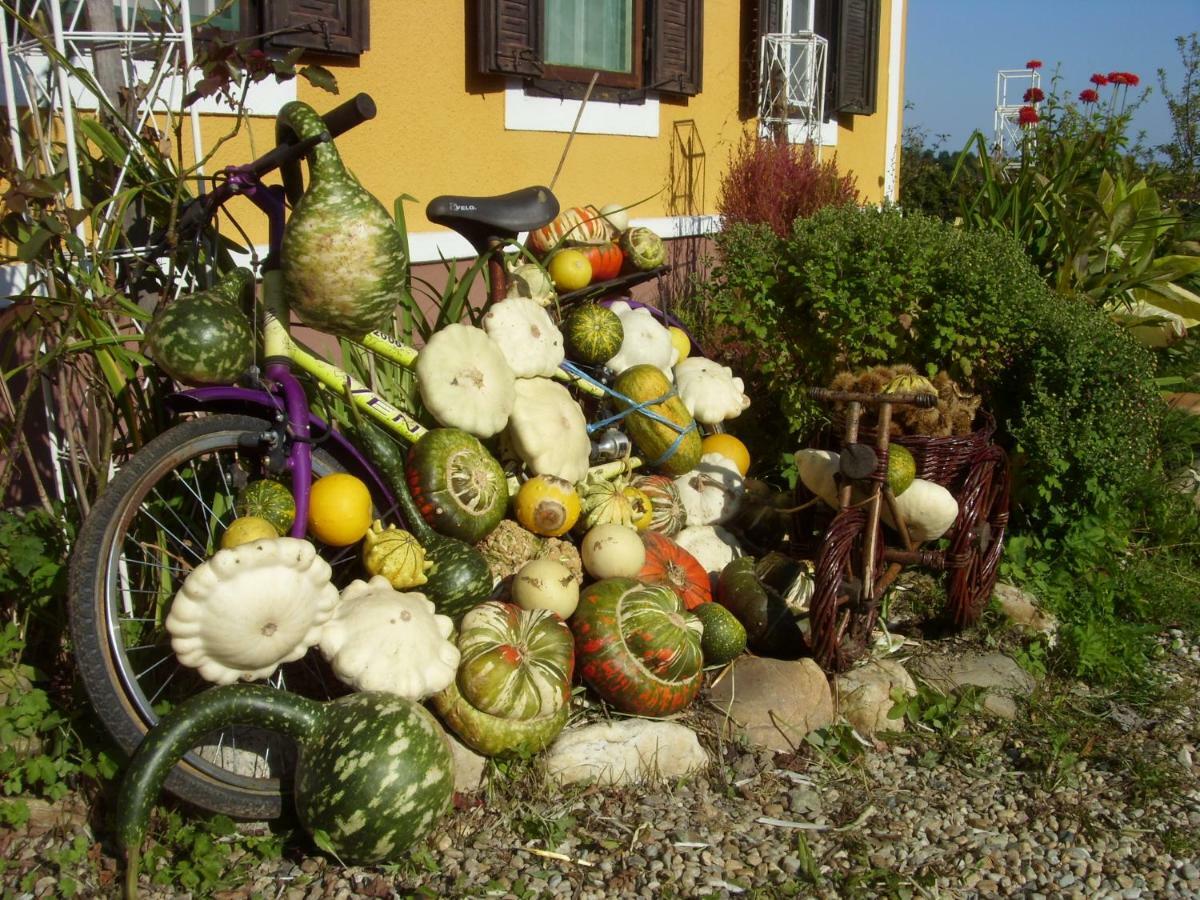 WeichselbaumBiohof Koller别墅 外观 照片